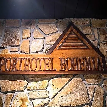 Bohemia ホテル ロキトニツェ・ナト・イゼロウ
